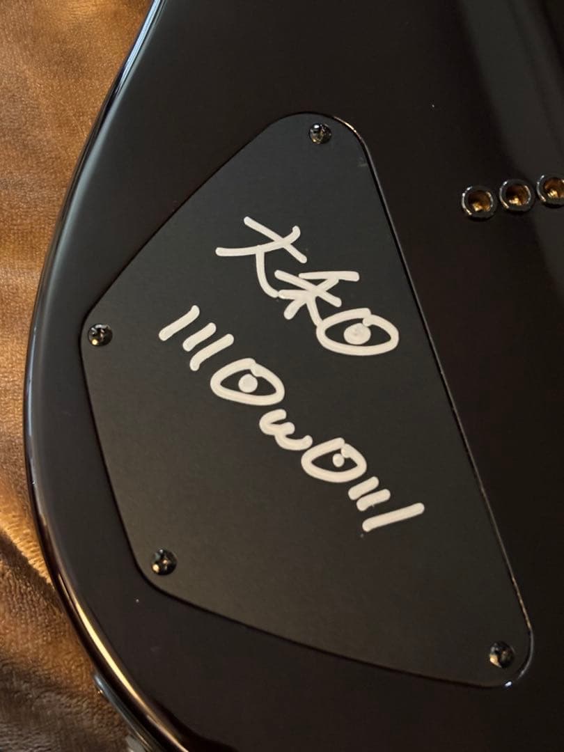 T’s Guitars Vena24-7弦　【Se-Vena】