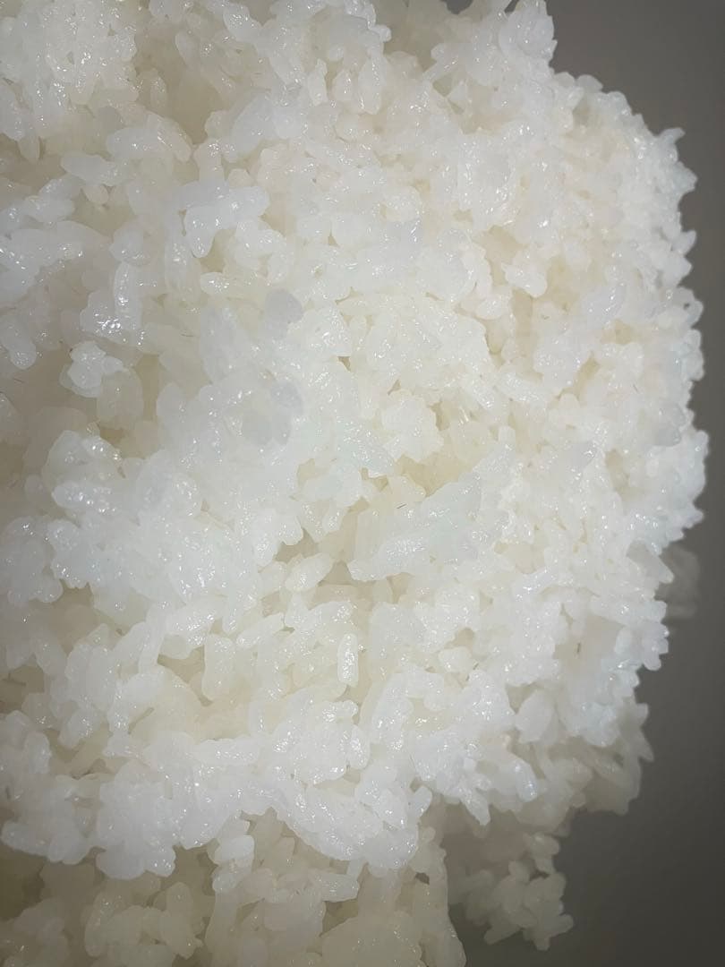 令和7年産【丹波篠山コシヒカリ】白米10kg 7年産も極上米/食味値87点