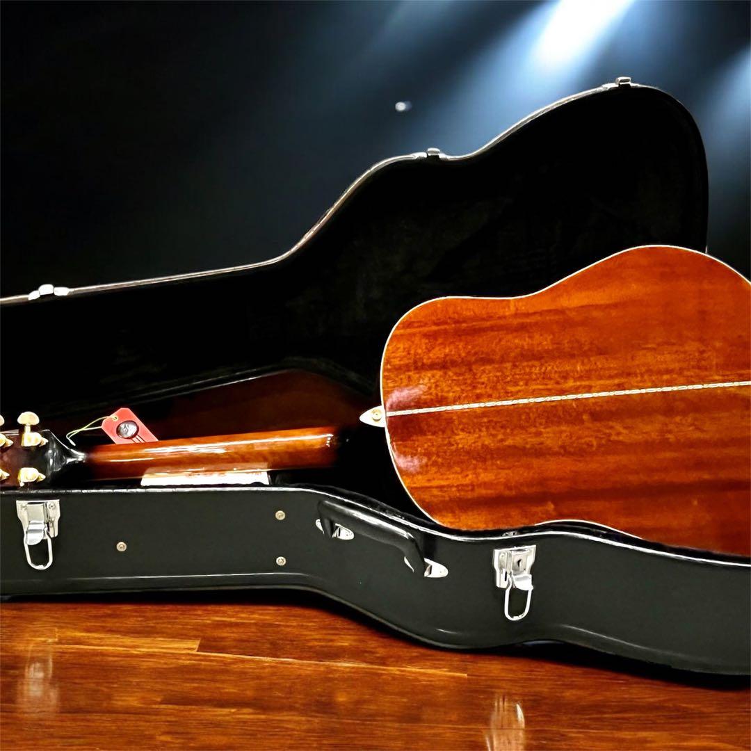 歩*鳥様 DeliciousTaylormade MOD エピフォンモディファイ