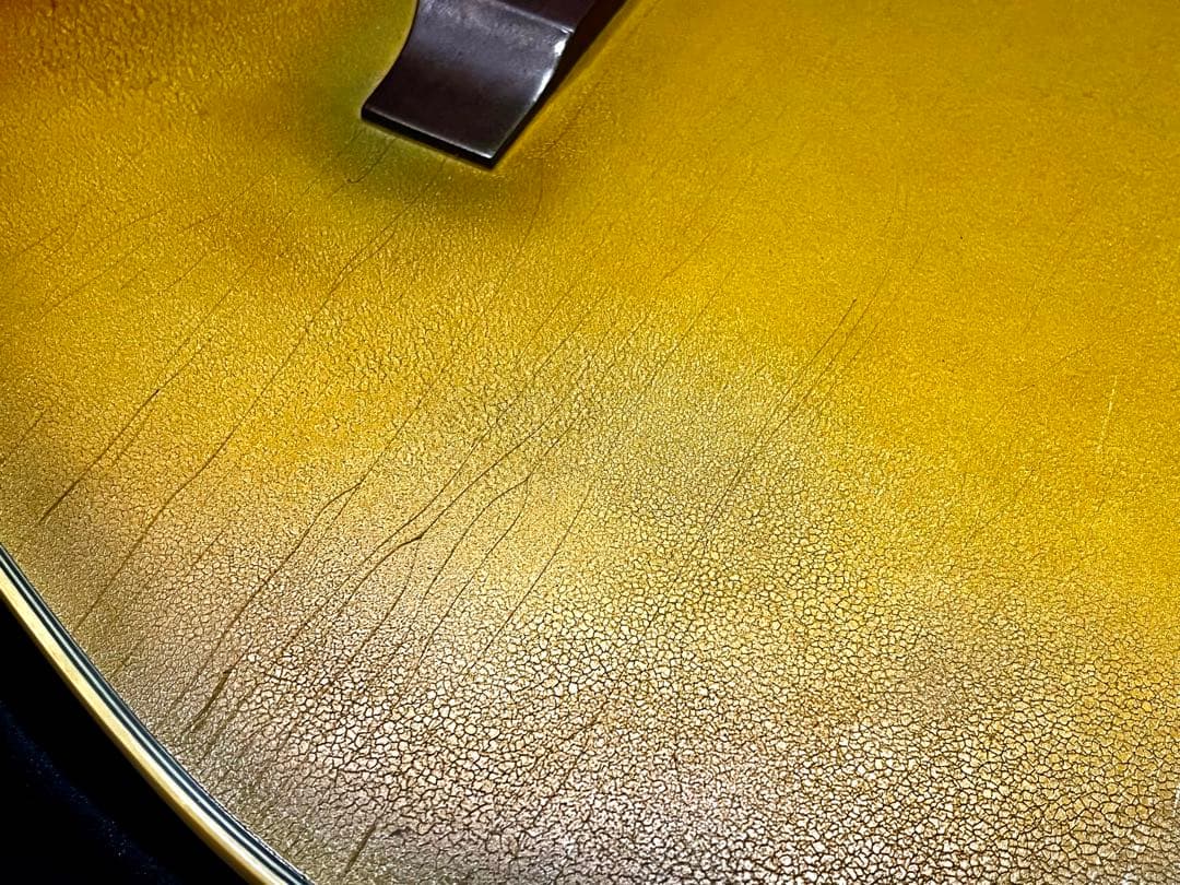 歩*鳥様 DeliciousTaylormade MOD エピフォンモディファイ