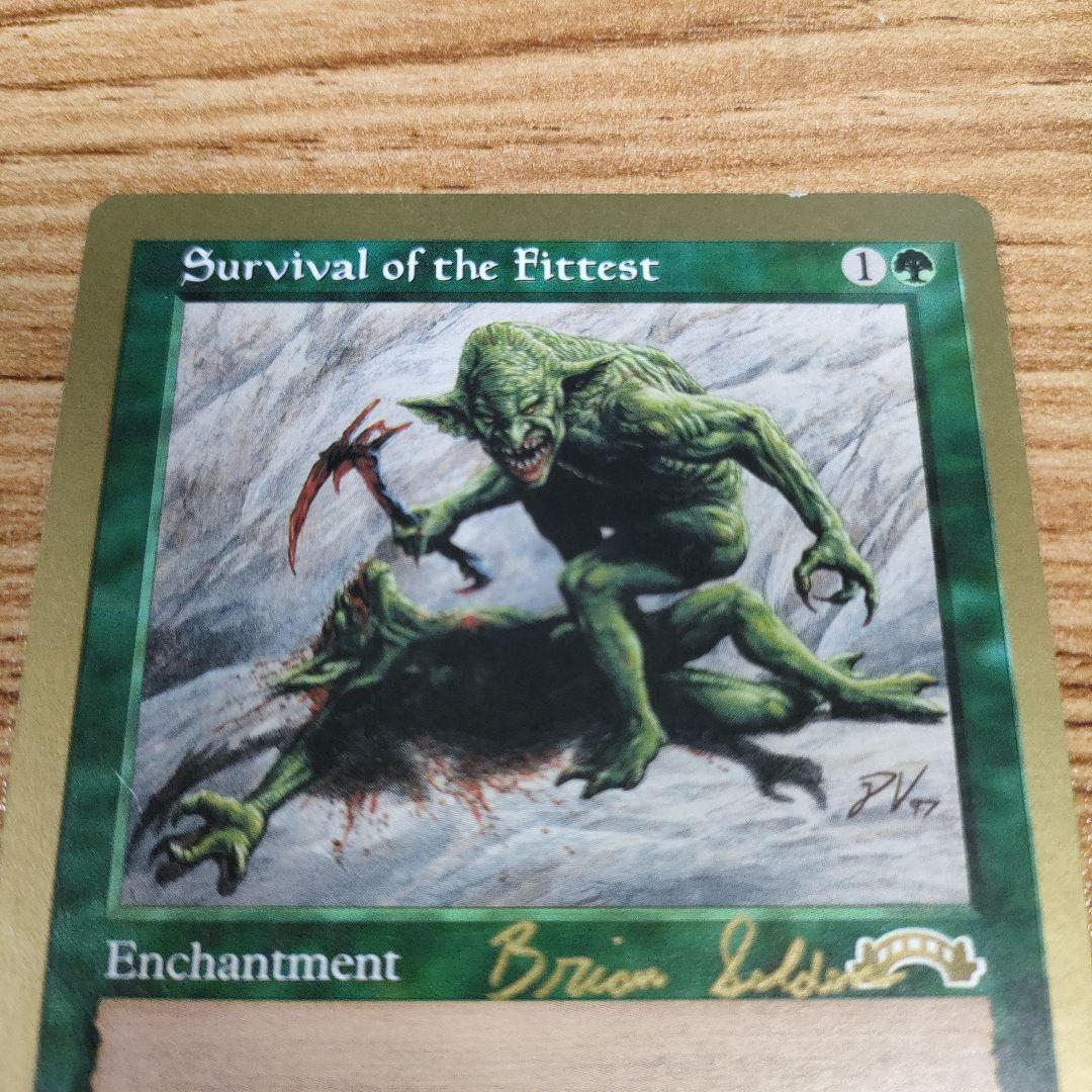 MTG 適者生存 金枠