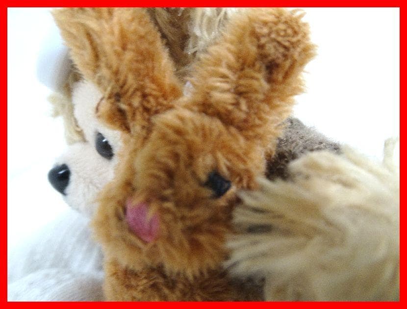 くま　ぬいぐるみストラップ　うさちゃんだっこ　サングラス　中古 Mイ-208