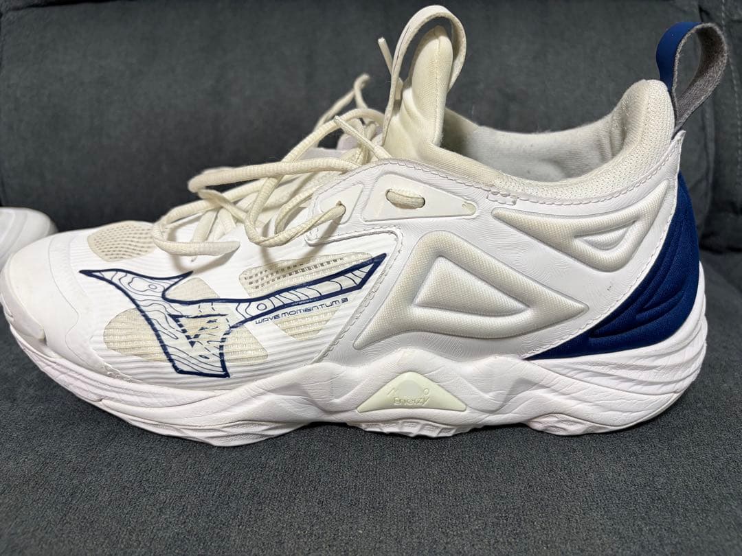 Mizuno バレーボールシューズ ウエーブモーメンタム3 28.5cm