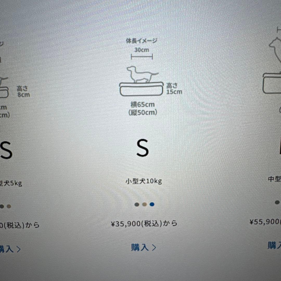 Ambient Lounge ラウンド型ベッドクッション グレー