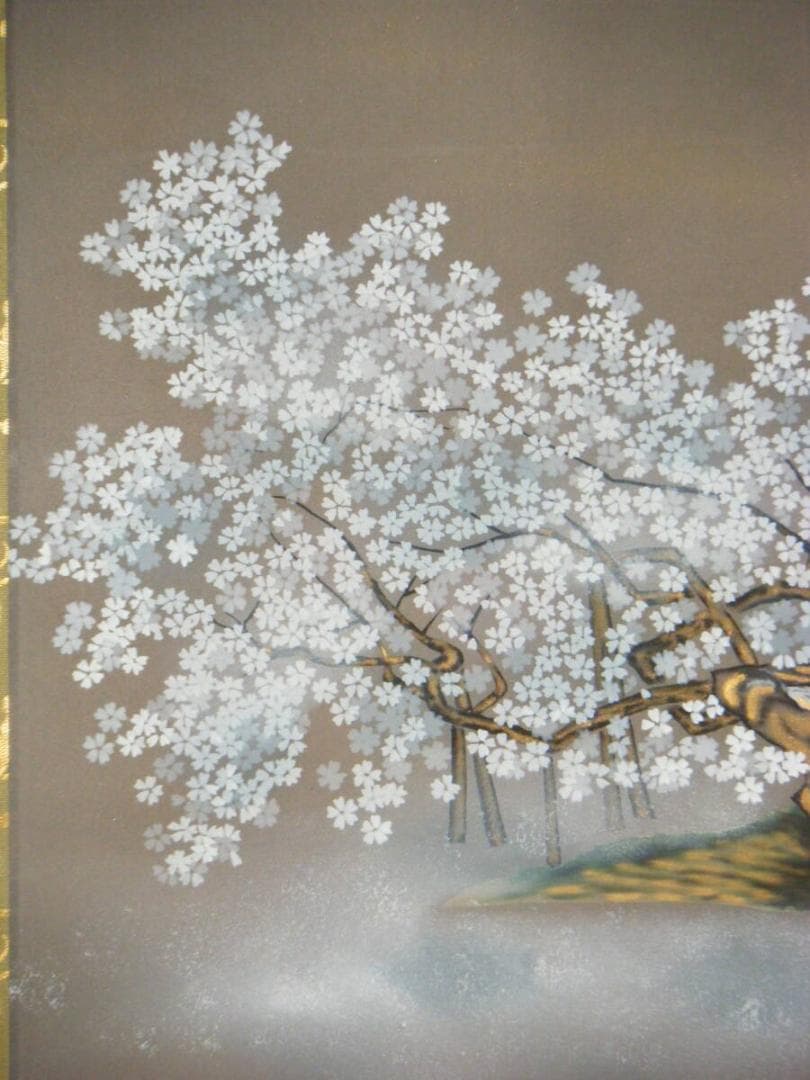 【真作】掛軸　三木貞芳　淡墨桜　　人気画家　名品　共箱入　O196