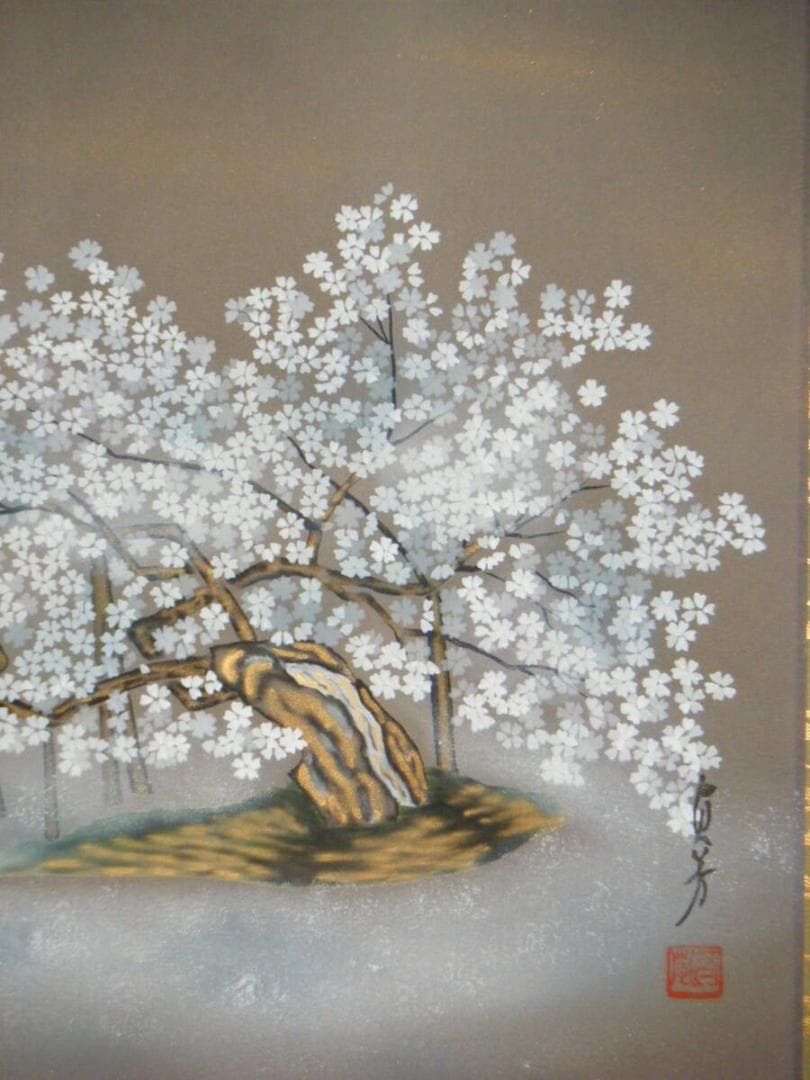 【真作】掛軸　三木貞芳　淡墨桜　　人気画家　名品　共箱入　O196