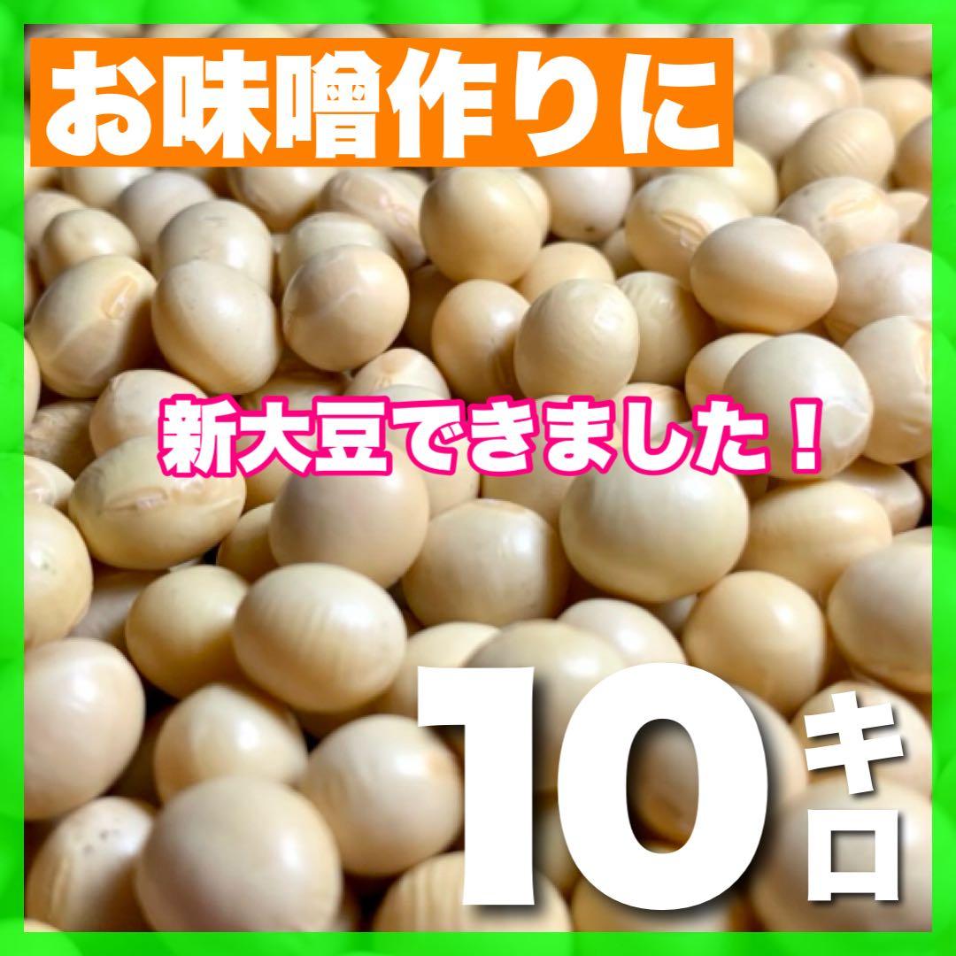 秋田県産リュウホウ新大豆 10kg お味噌作りにも
