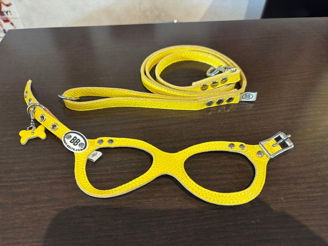 バディベルト2.5号&オールレザーリードセット(canary)