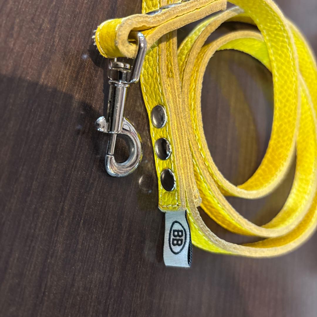 バディベルト2.5号&オールレザーリードセット(canary)