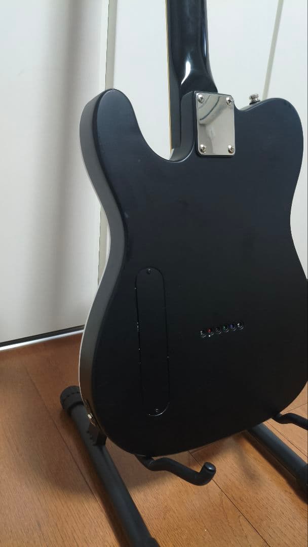 FERNANDES　TEJ-HOTEI　BLACK&WHITE　電子部品なし