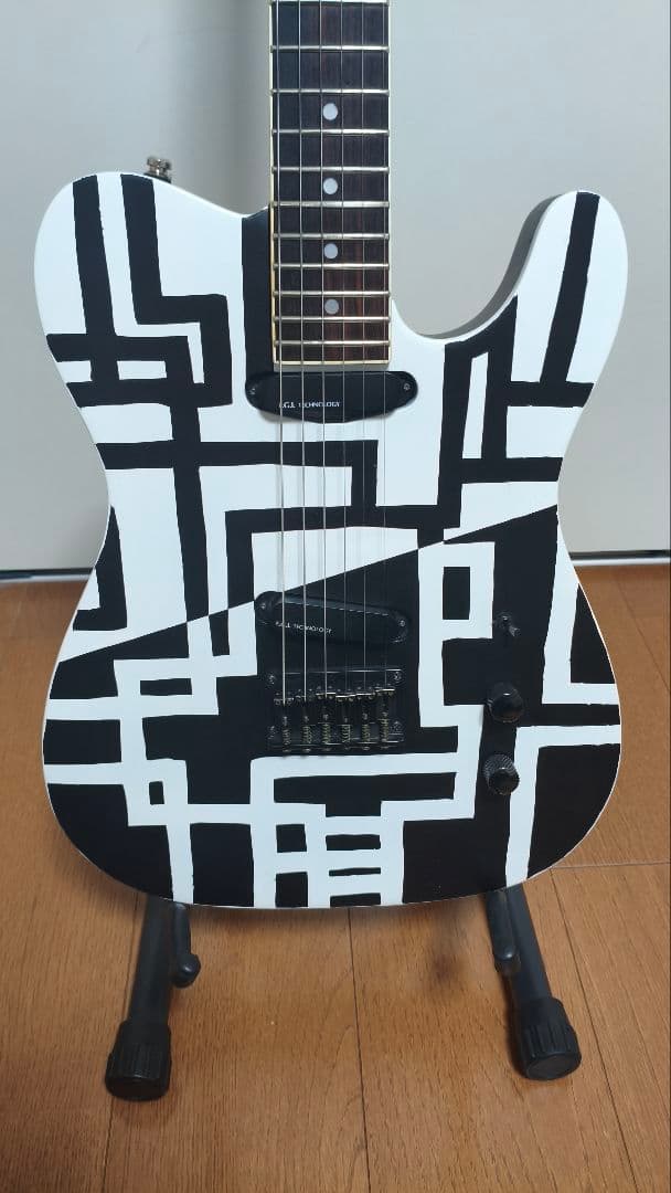 FERNANDES　TEJ-HOTEI　BLACK&WHITE　電子部品なし