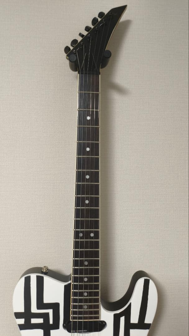 FERNANDES　TEJ-HOTEI　BLACK&WHITE　電子部品なし