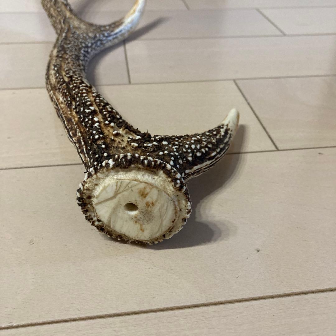 ローベンス クロンダイク TCテント 薪ストーブ対応 豪華オマケ付き