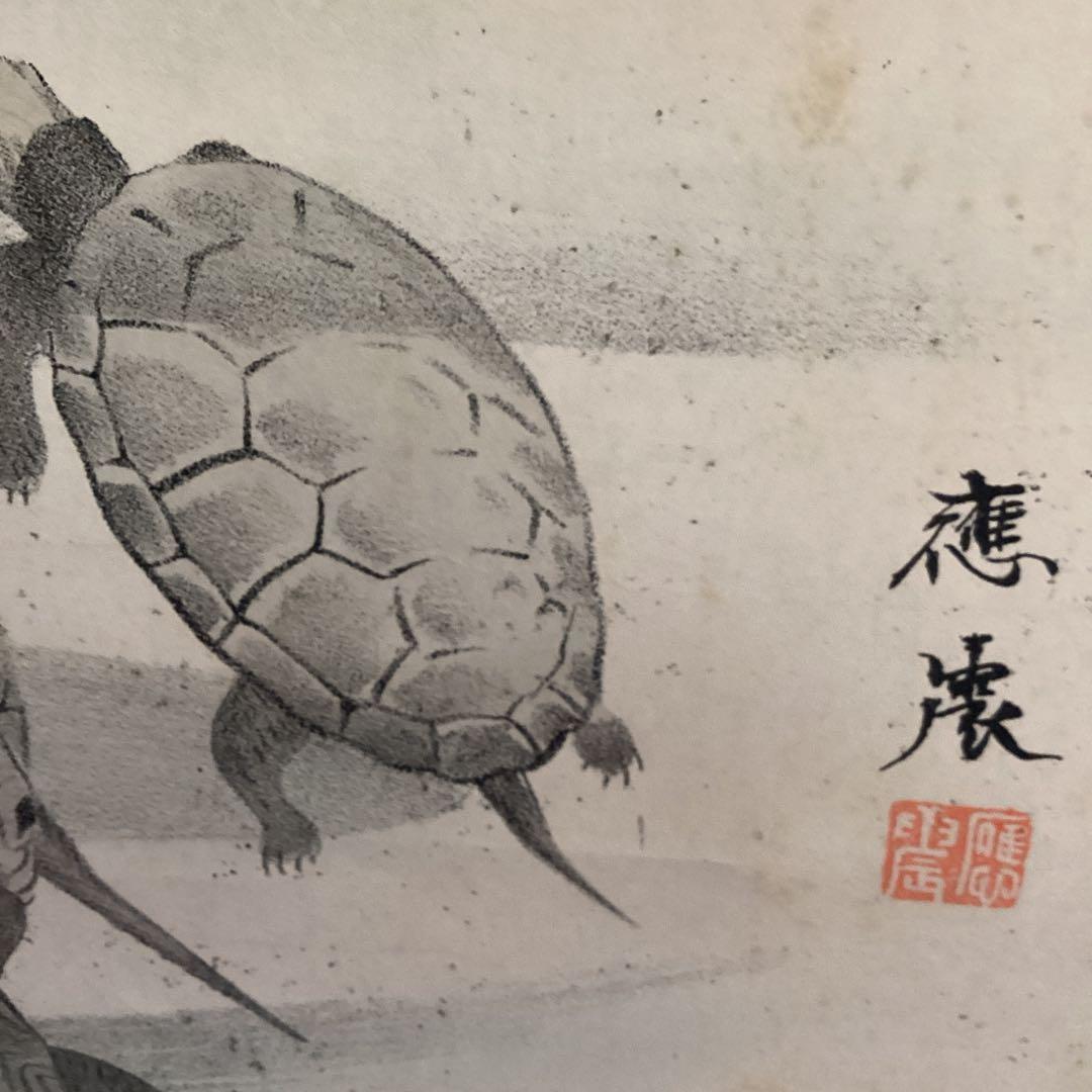 圓山派　一門亀之図　木版画　　落款印譜あり　　掛け軸仕立て直し　　必携落款字典