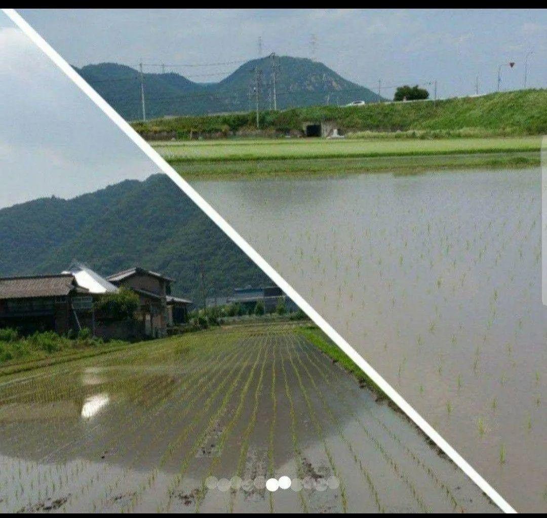 新米！！★令和7年産『朝日』(無洗米)10㎏　“晴れの国から 岡山米 ”