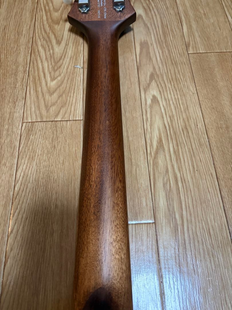 ギター Paul Reed Smith PRS SE Parlor VM P20