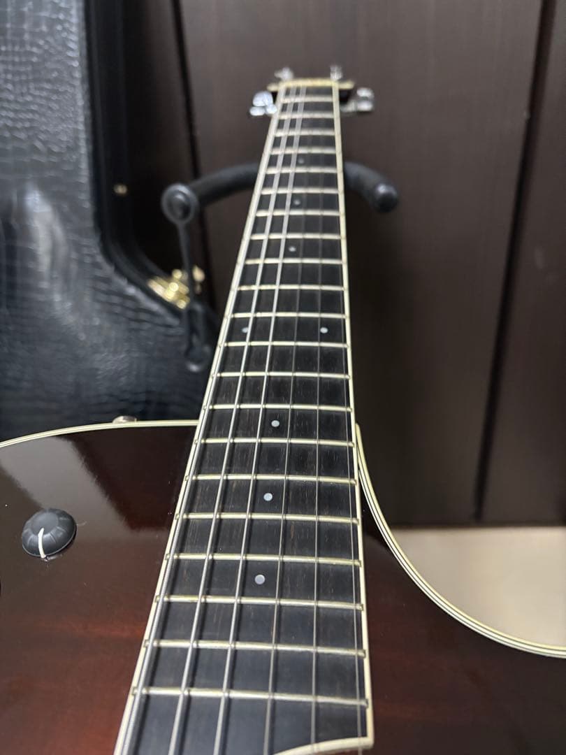 Taylor T5-S1 エレアコ