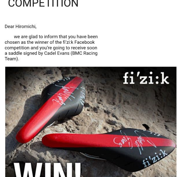 Fizik(フィジーク) ARIONE R3(TEAM EDITION2013)