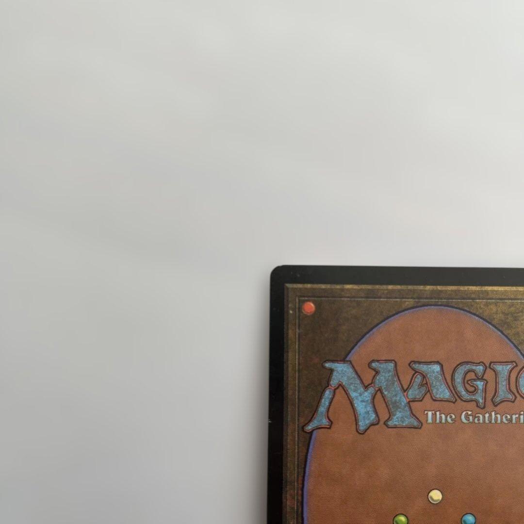 双頭のドラゴン　FOIL 日本語　マジックザギャザリング　MTG