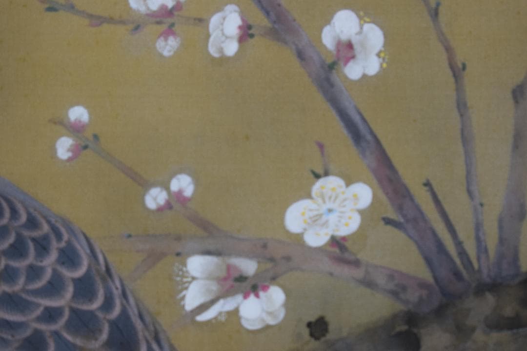 【模写】土田麦僊/梅花鳩之図/掛軸☆宝船☆X-632