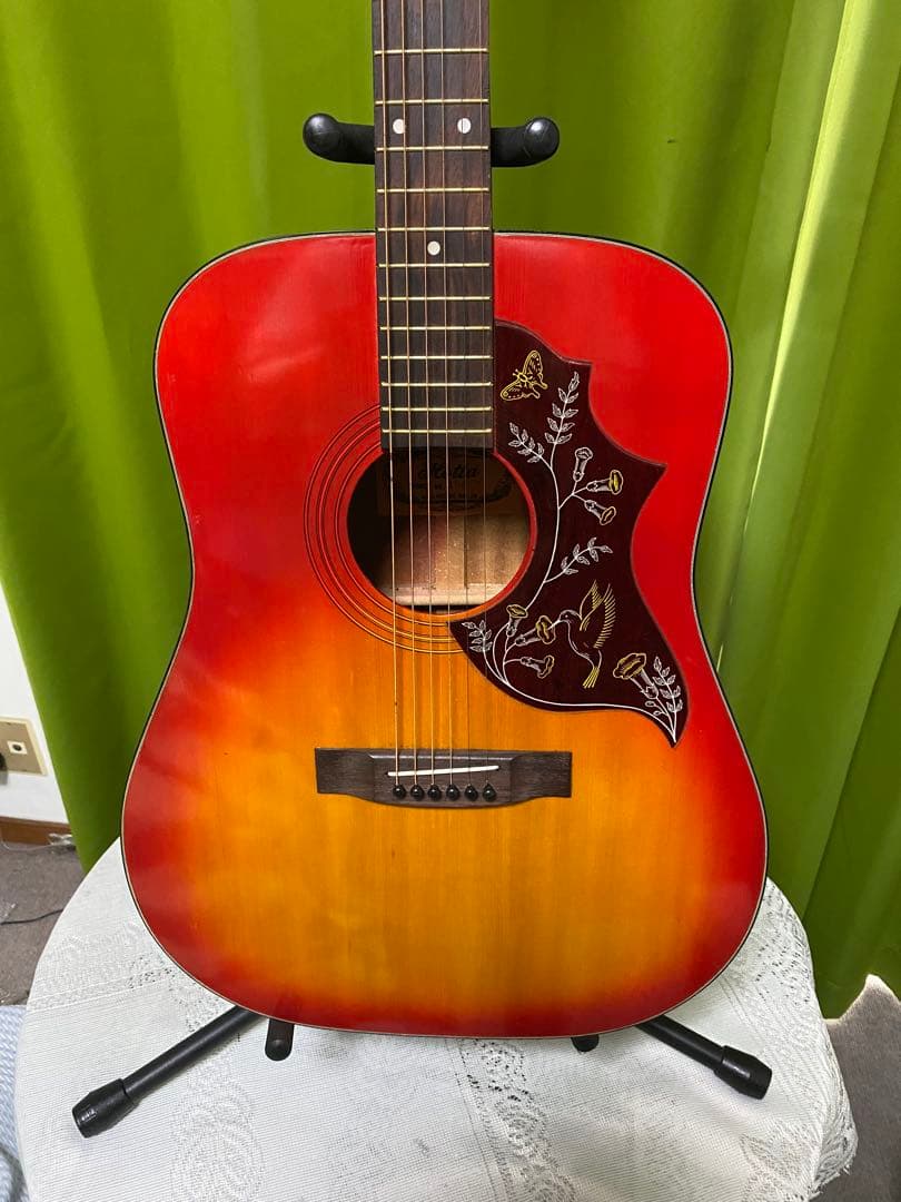 新春特価カントリーしようぜ！ ハミングバードHOTTAエレアコ音出し良好！