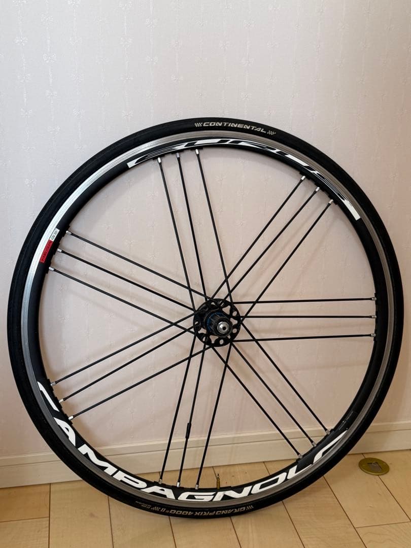 カンパニョーロ ユーラス C15 シマノフリー クリンチャー