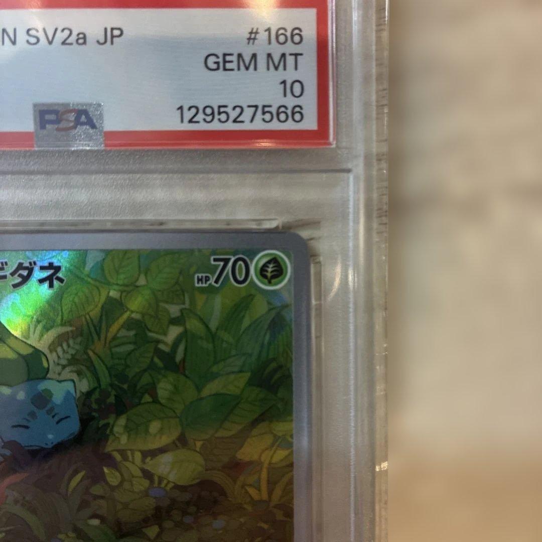 ポケモンカード　フシギダネ AR PSA10