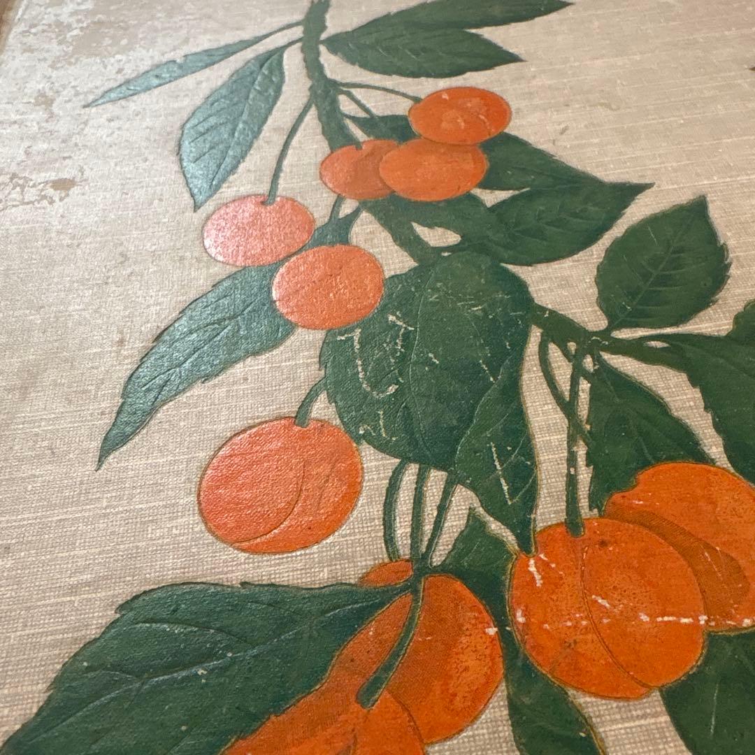 フランス　アンティーク　ポストカード　アルバム　CARTES POSTALES