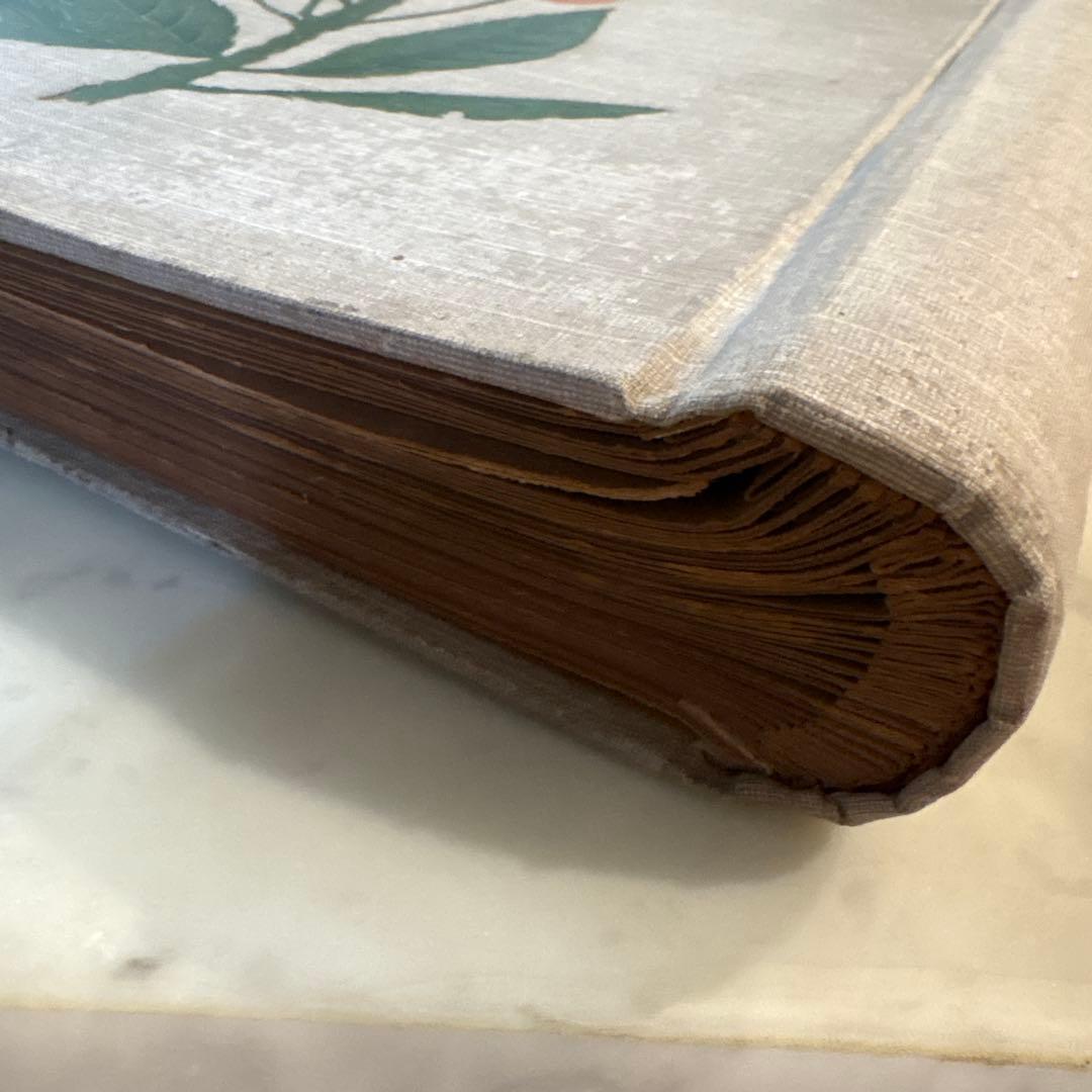 フランス　アンティーク　ポストカード　アルバム　CARTES POSTALES