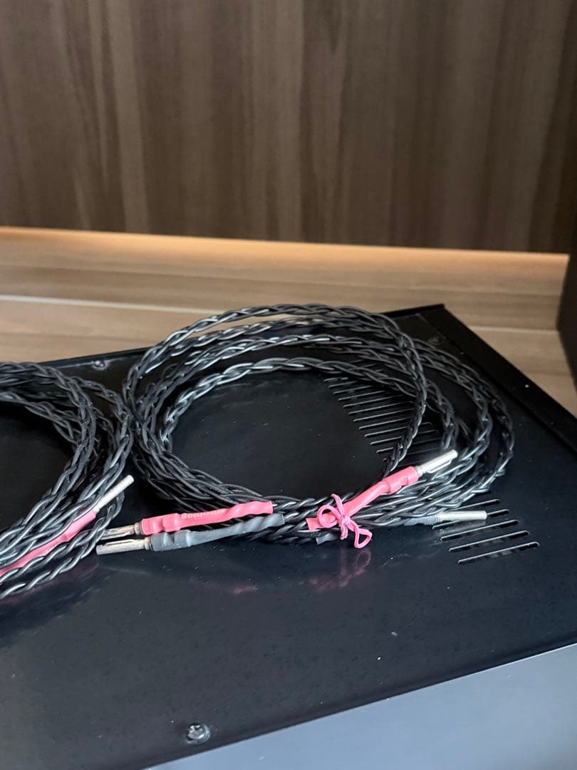 配信機器・PA機器・レコーディング機器 Amphion Amp700 + Speaker Cable(2.5m)