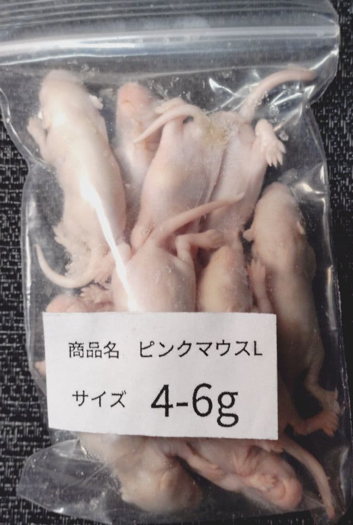 yuuuuka送料無料 冷凍マウスファジーS50匹　ピンクマウスＬ50匹