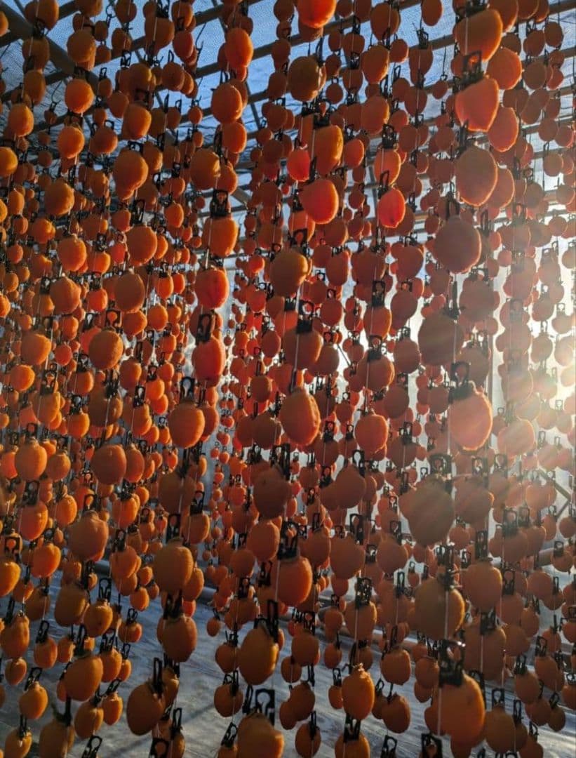 ⑮ 大玉 市田柿 ３kg 3Lサイズ 長野県産 農家直送 干し柿