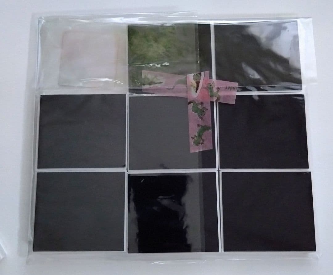 マリンワールド海の中道　額縁マグネット(ぜんぶリロ 第2弾)コンプリートセット