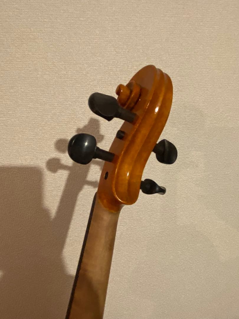 Gliga Gems 4/4 バイオリン