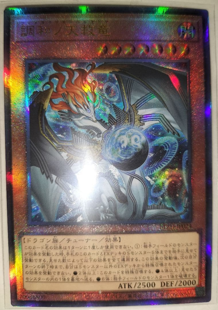 遊戯王　調和ノ天救竜　レリーフ　ドミナススパーク　シークレット