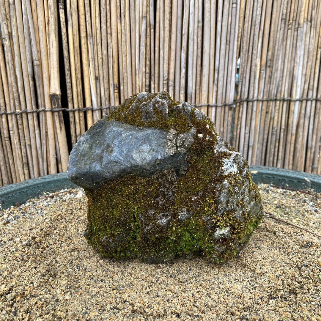 京都　貴船　糸掛石【B】