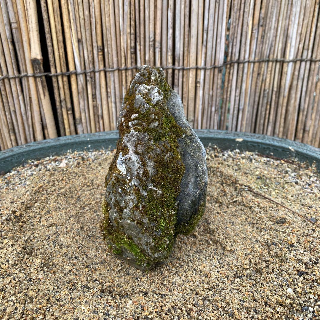 京都　貴船　糸掛石【B】