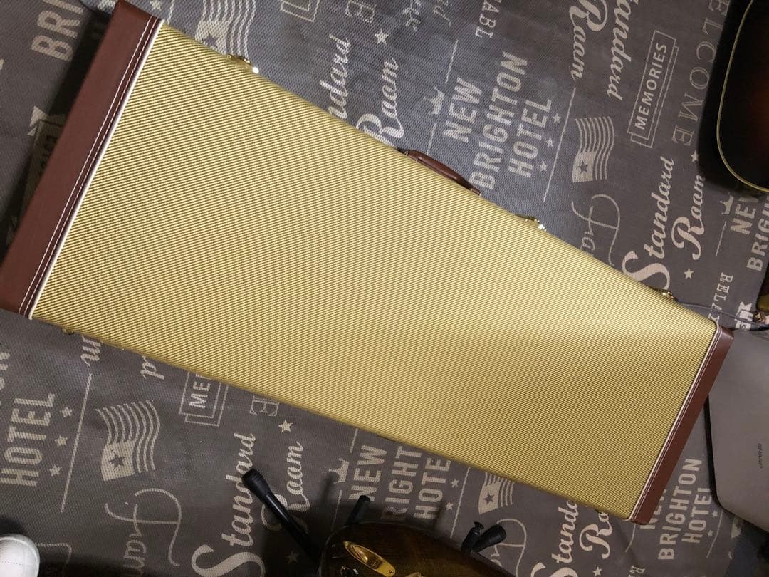 momose ストラトキャスター