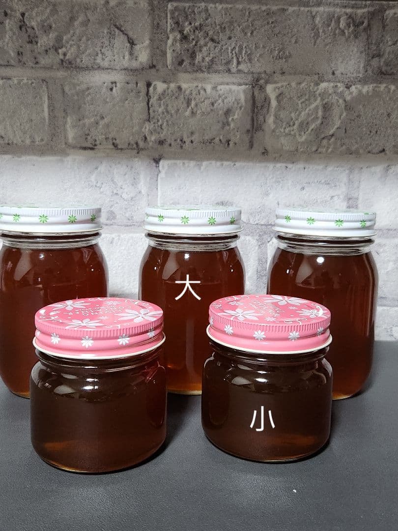 日本蜜蜂はちみつ　550g ２本