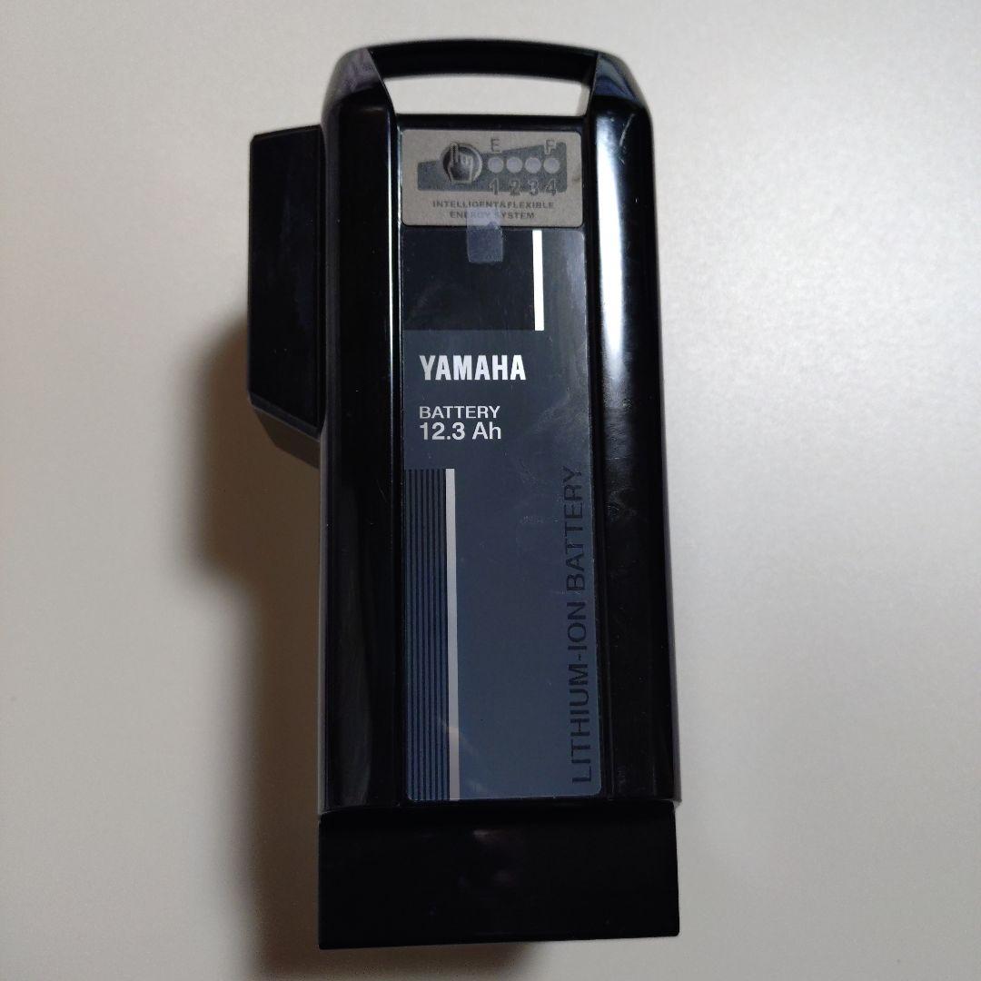 X0T-82110-22 ヤマハPAS12.3Ah