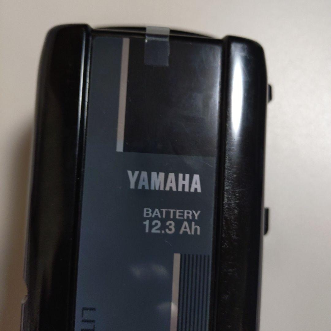 X0T-82110-22 ヤマハPAS12.3Ah