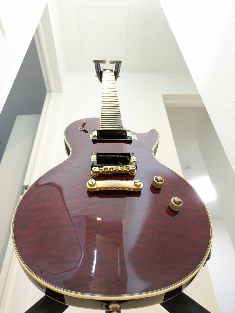 ギター Epiphone Les Paul Custom Prophecy GX