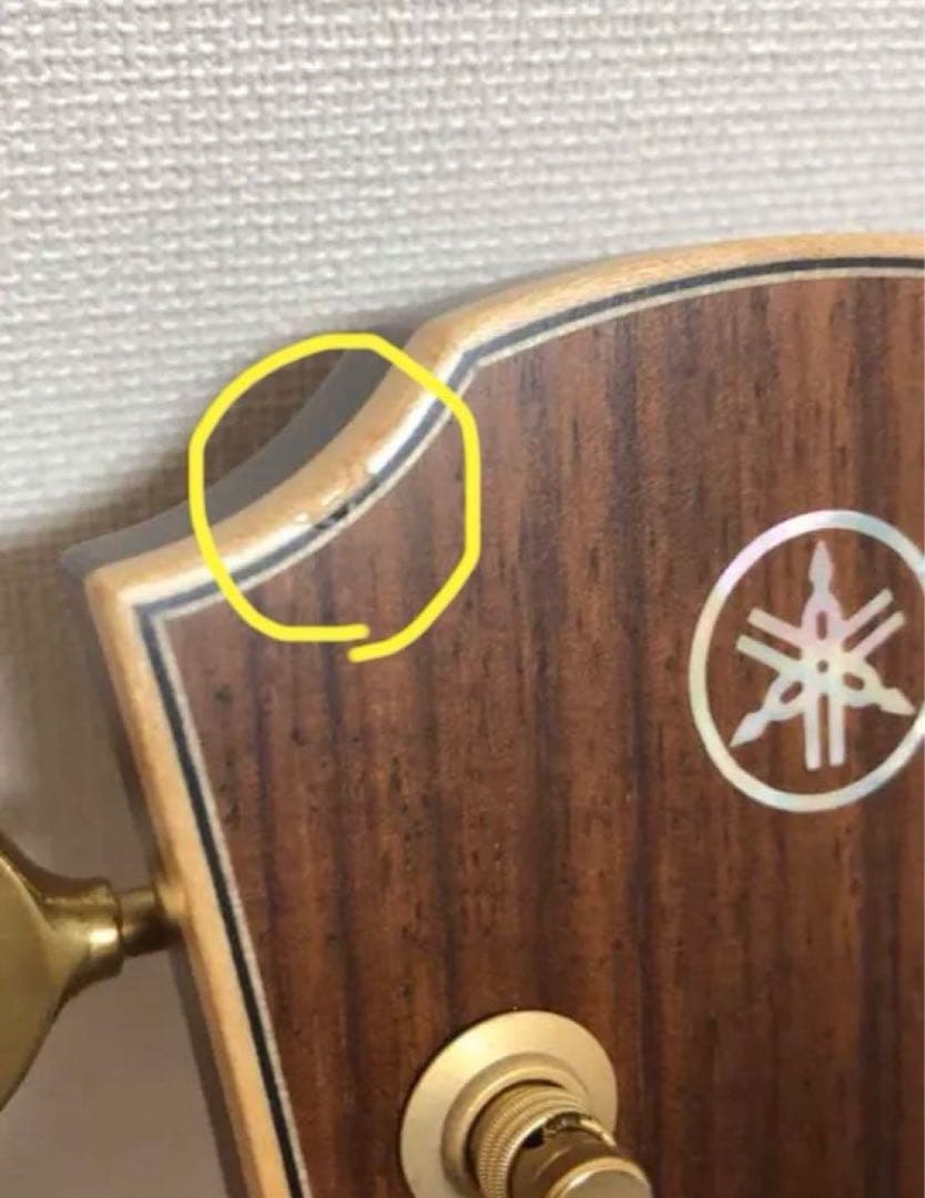 【美品】YAMAHA ヤマハ LJ36 ARE custom