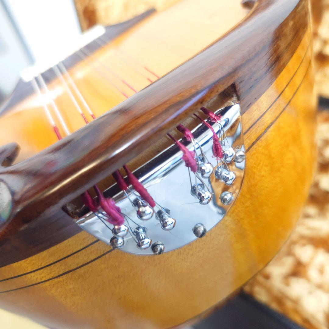 1975年製 岩崎 マンドリン ハードケース付き 大野