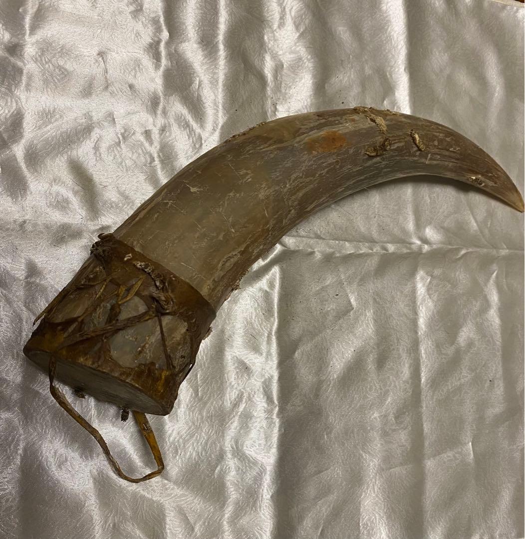 希少、ケニア訪問時、マサイ族から現地購入バッファロー角！