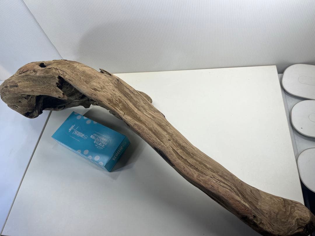 V45特大流木 アク抜き済み流木 爬虫類シェルター 登り木 インテリア 生け花