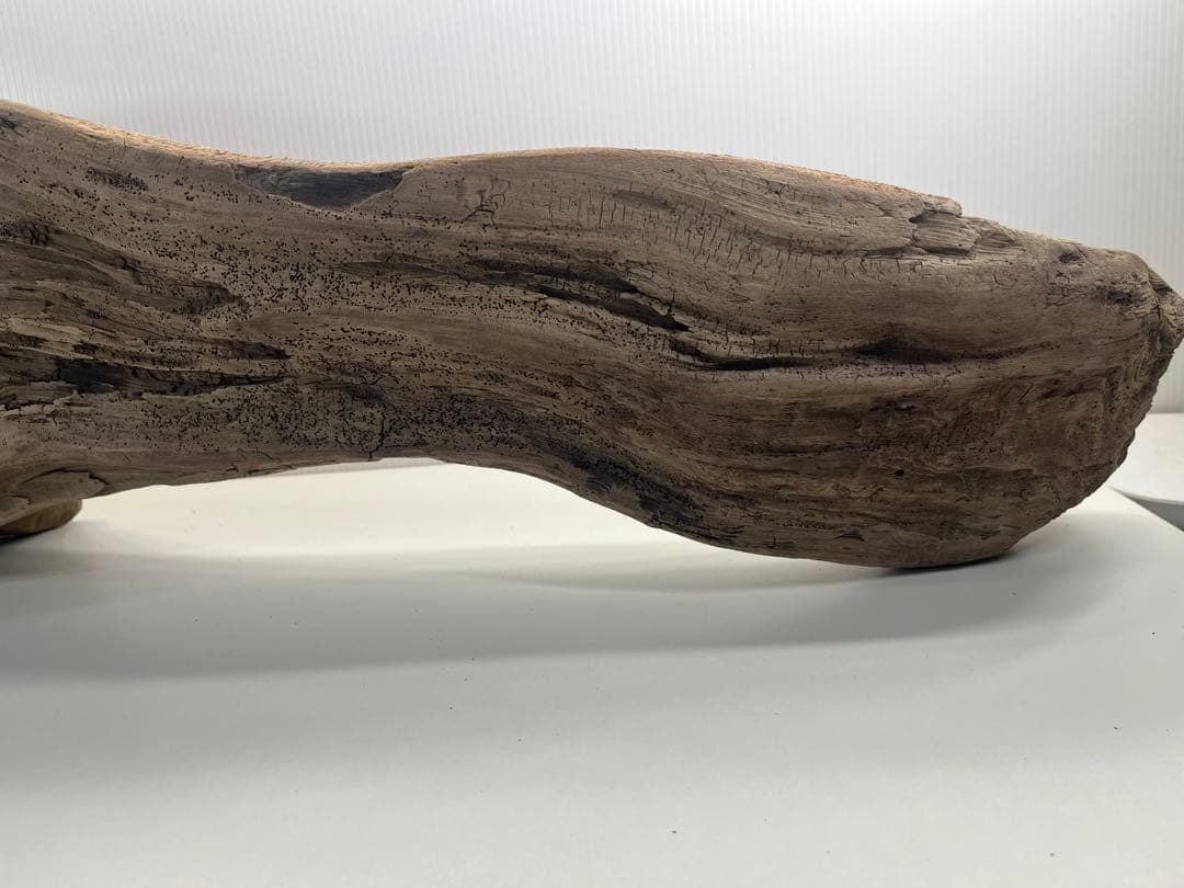 V45特大流木 アク抜き済み流木 爬虫類シェルター 登り木 インテリア 生け花