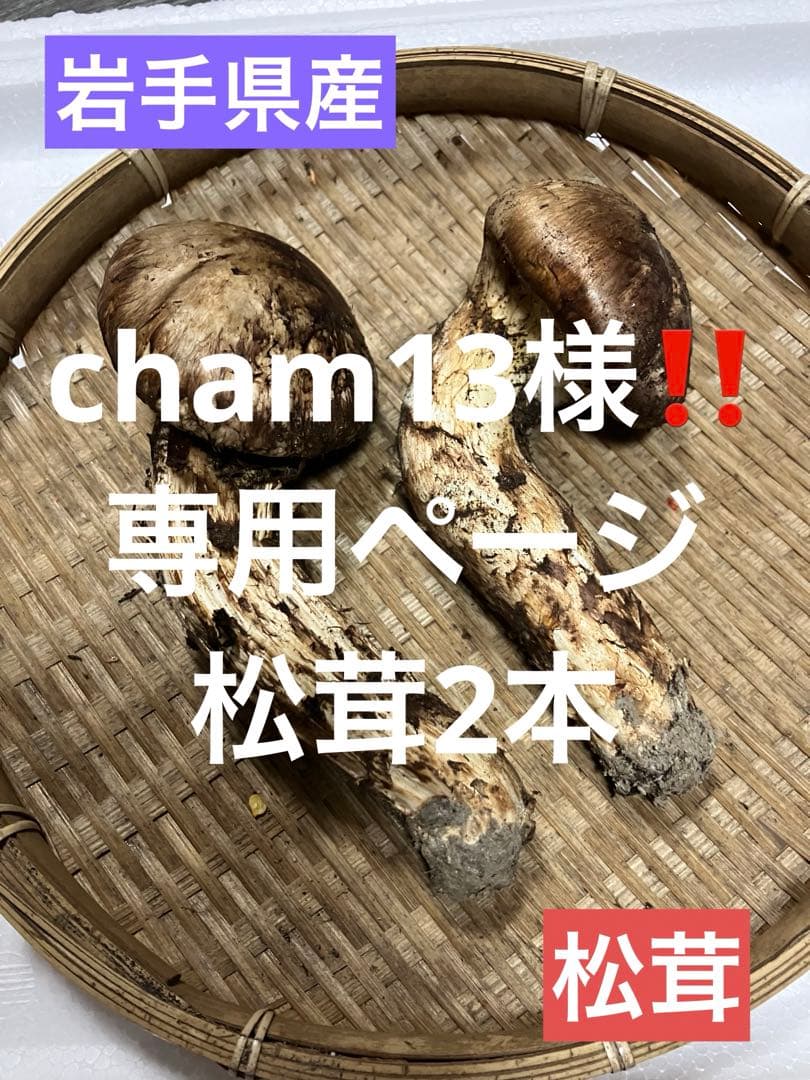cham13‼️専用ページ！松茸136g2本