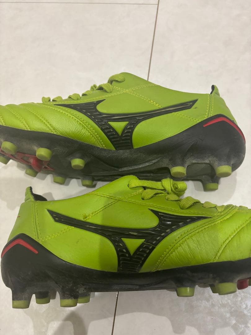 モレリア　ネオ　MORELIA NEO