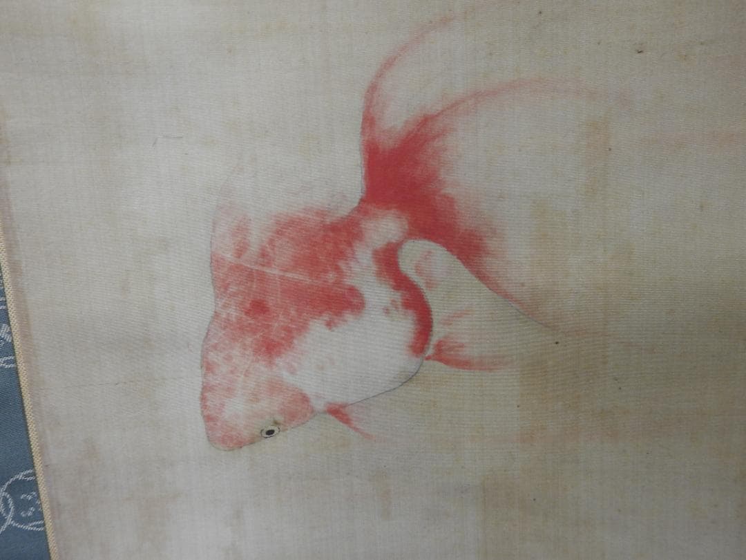 春耕　金魚図　保存箱　MA835